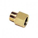 0167 13 14 AD'R 1/4"BSPT X 1/4"NPT  M/F PARKER LEGRİS
